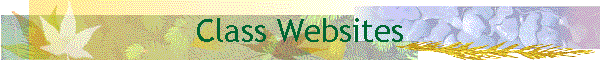 Class Websites