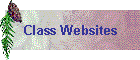 Class Websites